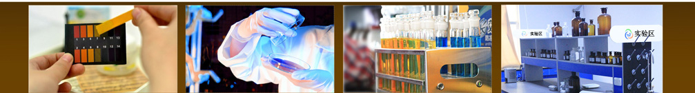 濰坊威爾頓科技有限公司廠容廠貌